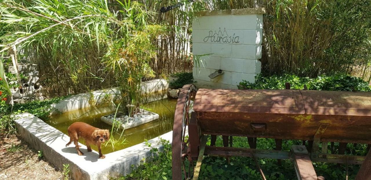 Trulli Aurasia Ostuni Bagian luar foto